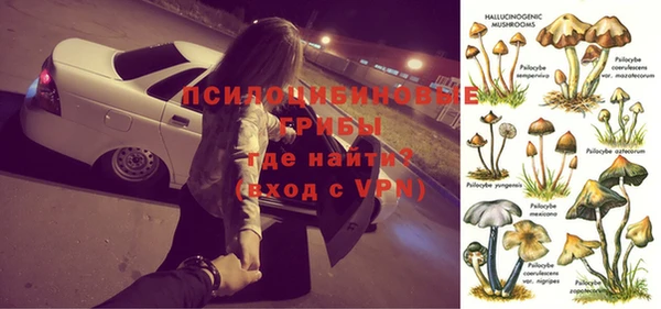 spice Баксан