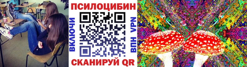 где найти   Высоцк  Псилоцибиновые грибы Cubensis 