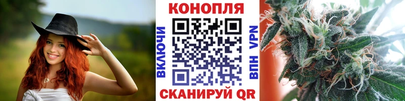 Конопля OG Kush  Высоцк 